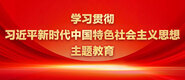 日本焯逼学习贯彻习近平新时代中国特色社会主义思想主题教育_fororder_ad-371X160(2)